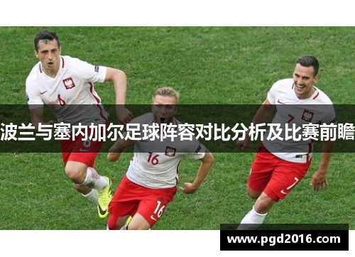 波兰与塞内加尔足球阵容对比分析及比赛前瞻