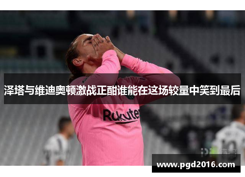 泽塔与维迪奥顿激战正酣谁能在这场较量中笑到最后