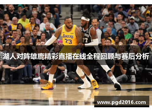 湖人对阵雄鹿精彩直播在线全程回顾与赛后分析