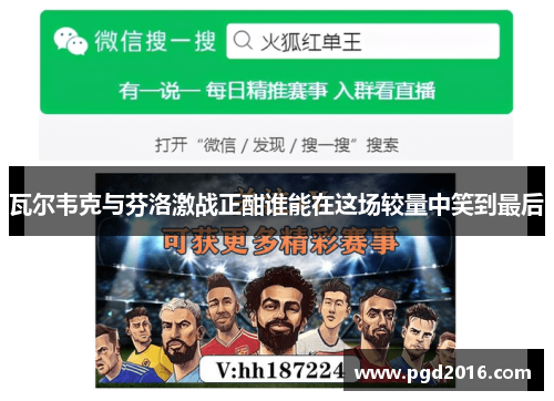 瓦尔韦克与芬洛激战正酣谁能在这场较量中笑到最后